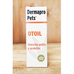 Otoil normale - Orecchie...